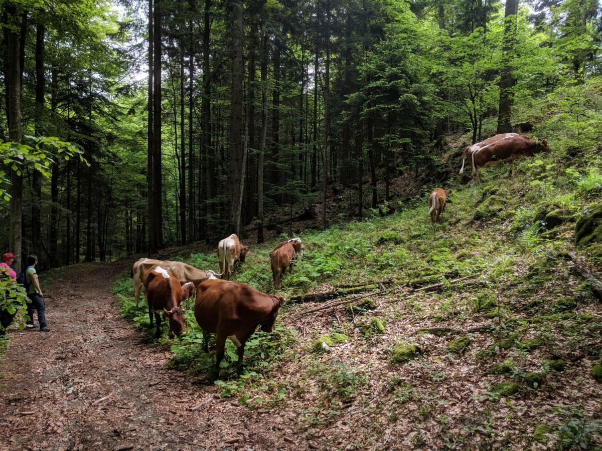 Puzman Farm Glamping Βίλα Radovljica Εξωτερικό φωτογραφία